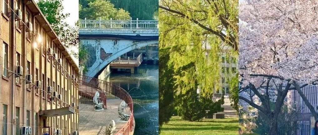 反向过周末：去城市里其他高校看看！