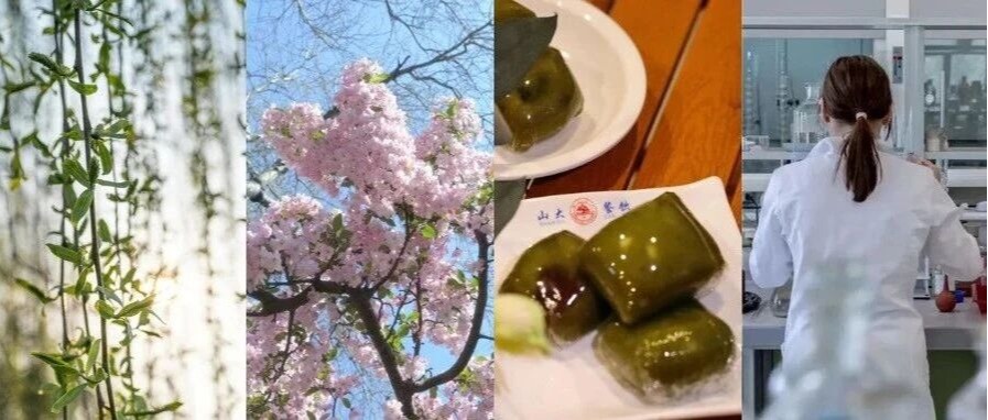 清明文化里的力量，治愈每一个伏案科研的你