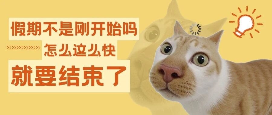 怎么回事，国庆假期进度条已经加载到这里了？